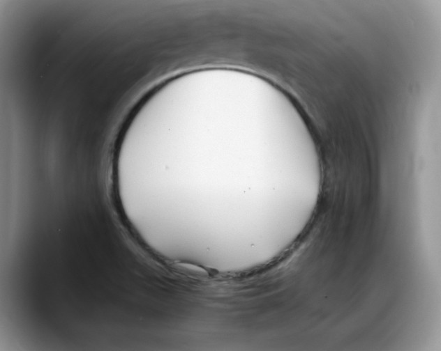 X0000088091511200706081740