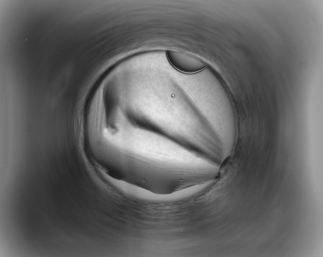 X0000088091515200706081740