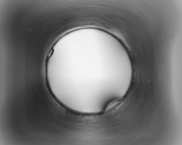 X0000088091516200706081740