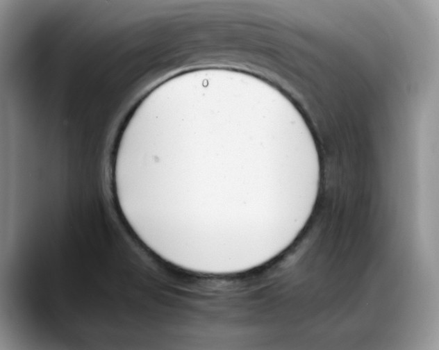 X0000088091517200706081740