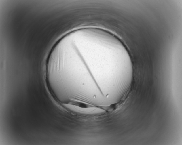 X0000088091519200706081740