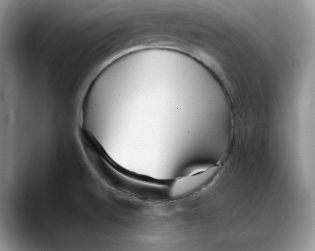 X0000088091520200706081740