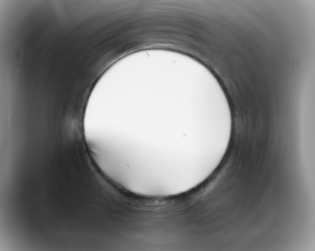 X0000088091521200706081740