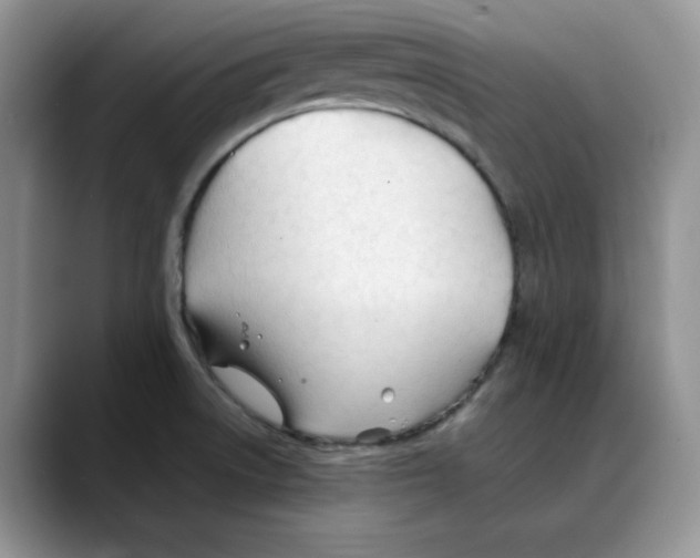 X0000088091522200706081740