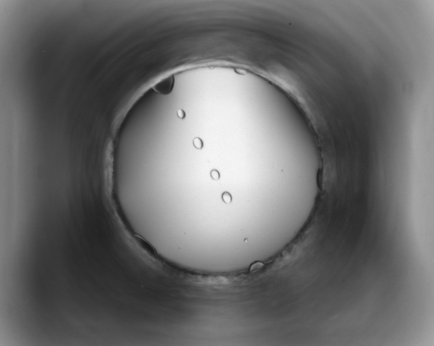 X0000088091524200706081740