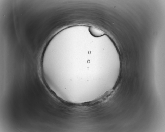 X0000088091525200706081740