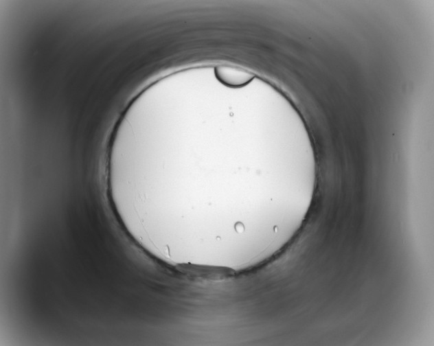 X0000088091526200706081740