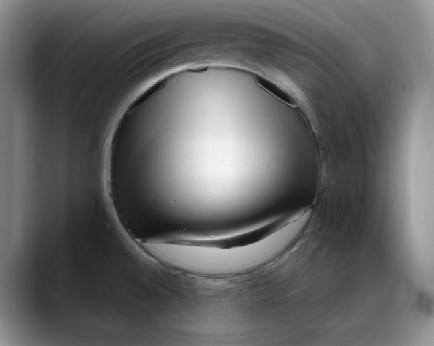 X0000088091528200706081740