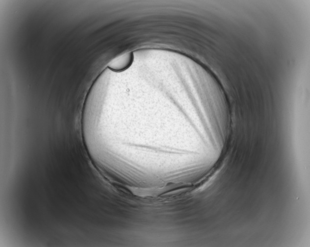 X0000088091529200706081740