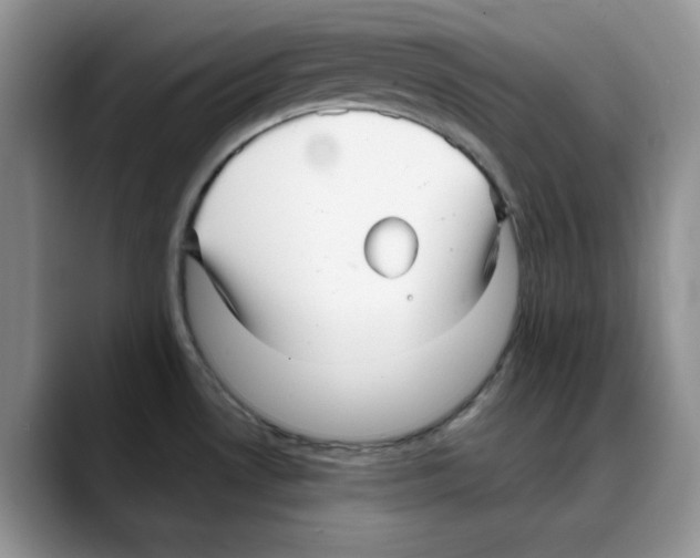 X0000088091530200706081740