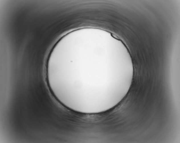 X0000088091531200706081740