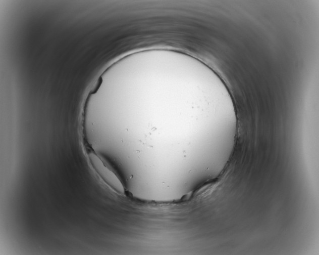 X0000088091532200706081740