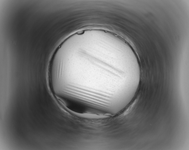 X0000088091533200706081740