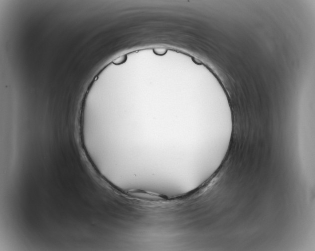 X0000088091534200706081740