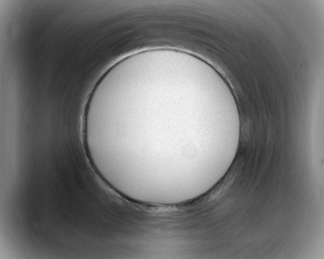 X0000088091535200706081740