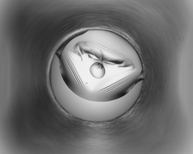 X0000088091536200706081740