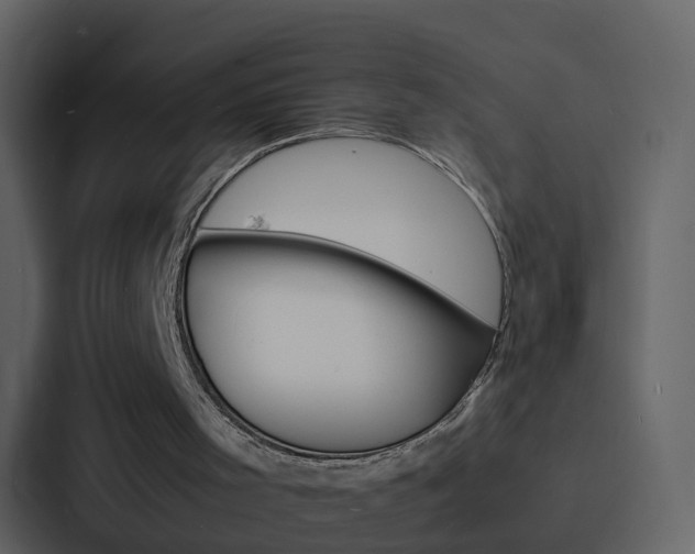 X0000088130001200705141007