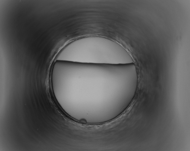 X0000088130002200705141007