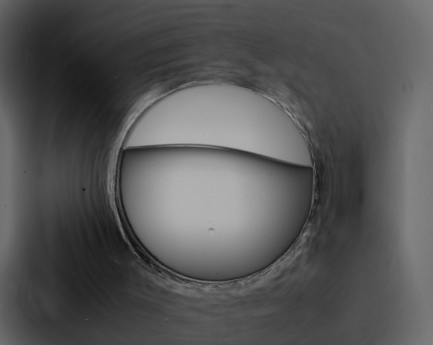 X0000088130003200705141007