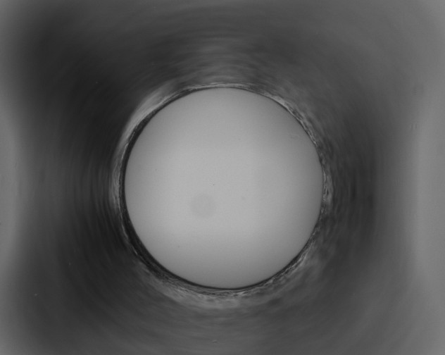 X0000088130004200705141007