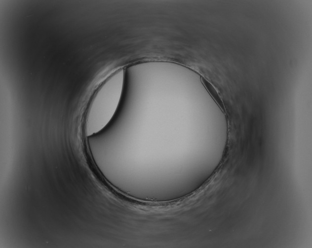 X0000088130005200705141006