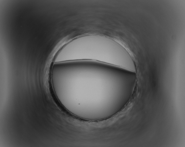X0000088130007200705141006