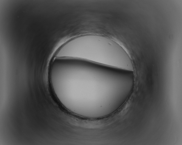 X0000088130008200705141006