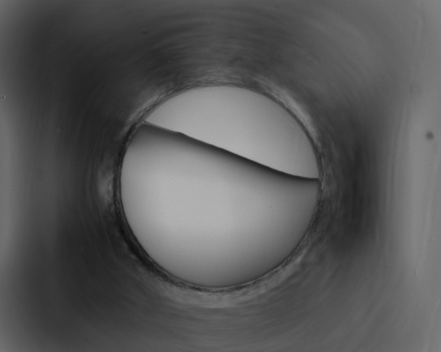 X0000088130010200705141006