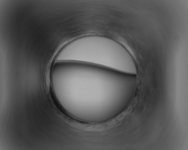 X0000088130011200705141006