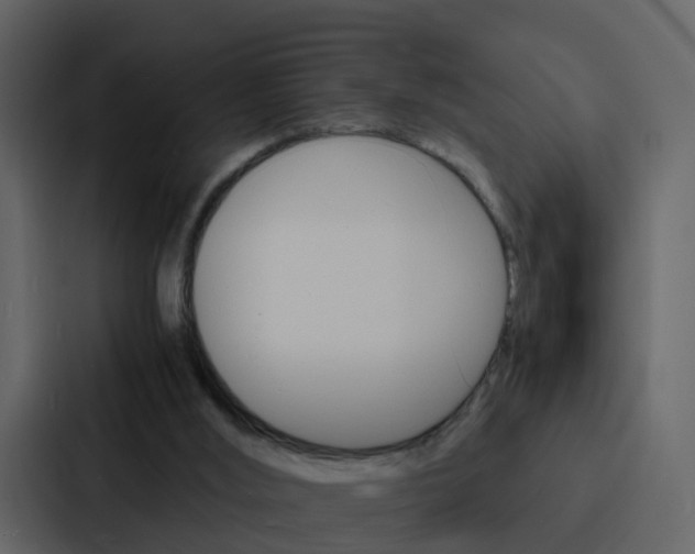 X0000088130012200705141006