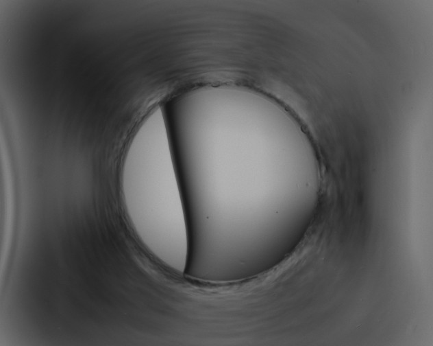X0000088130013200705141006