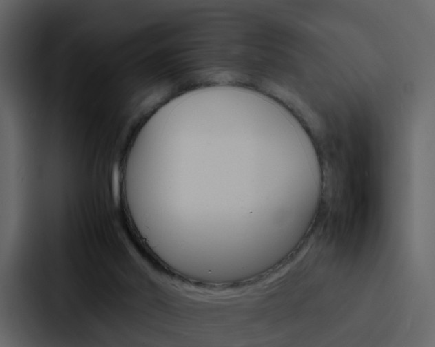 X0000088130014200705141006