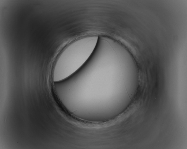X0000088130015200705141006