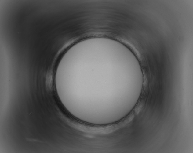 X0000088130016200705141006