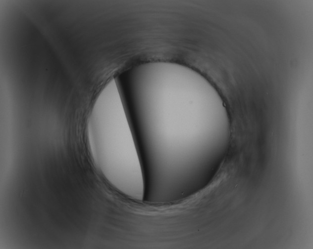 X0000088130017200705141006