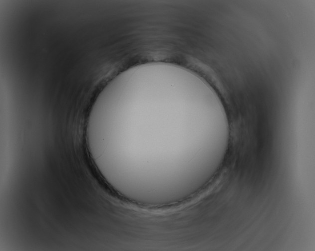 X0000088130018200705141006