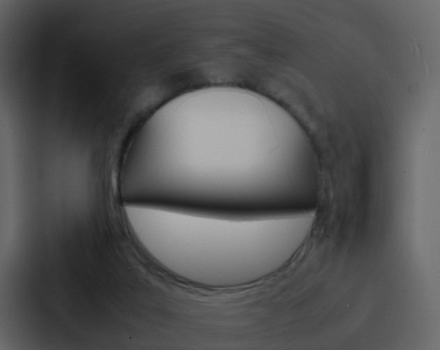 X0000088130019200705141006