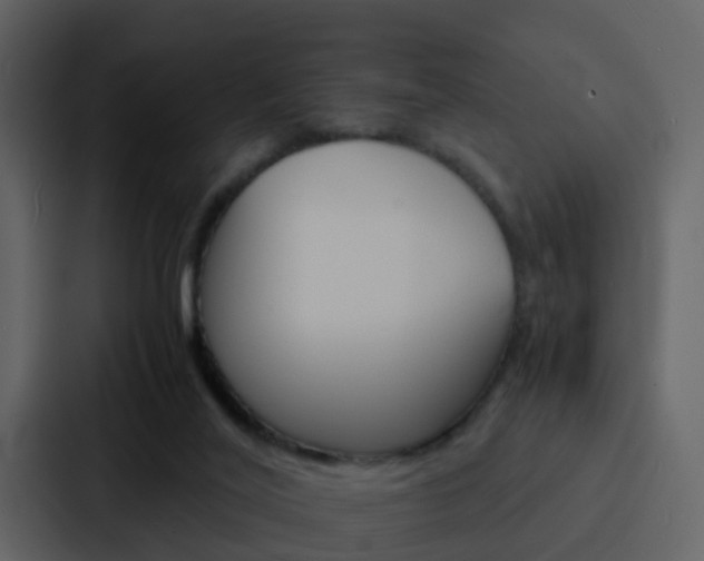 X0000088130020200705141006