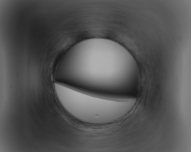 X0000088130021200705141006
