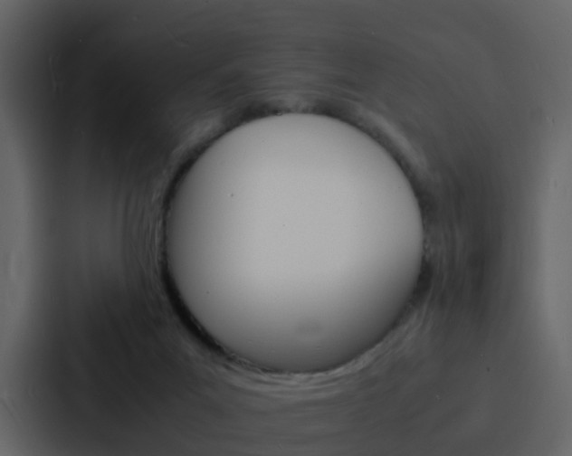 X0000088130023200705141006