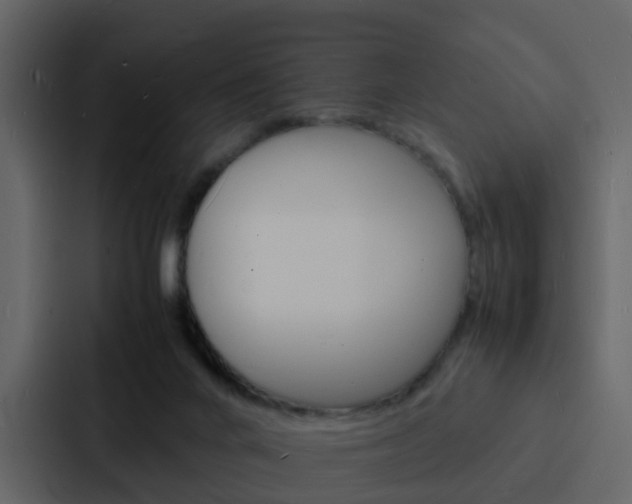 X0000088130024200705141006