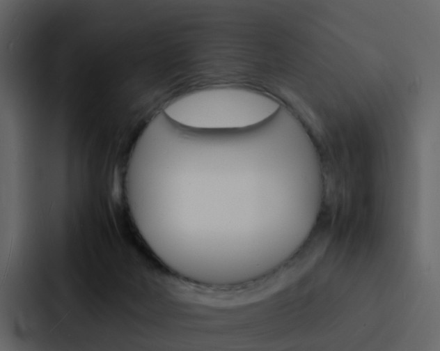X0000088130026200705141006