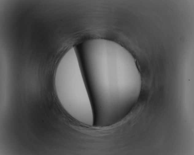 X0000088130027200705141006