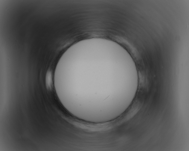 X0000088130028200705141006