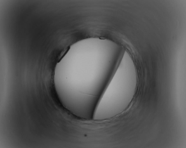 X0000088130029200705141006