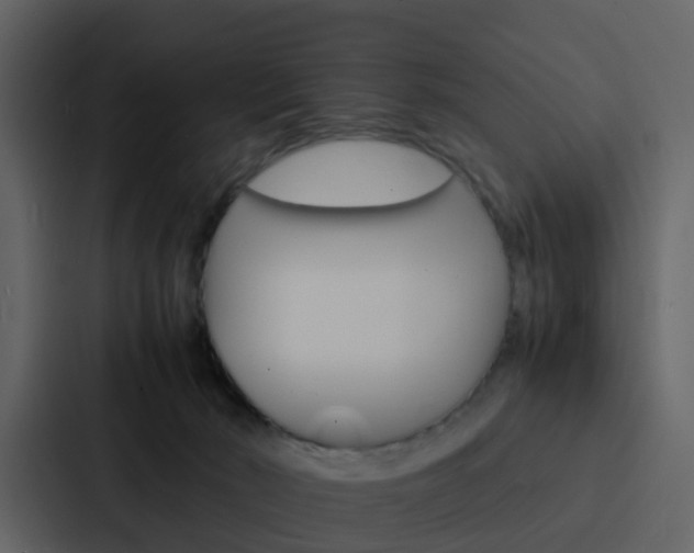 X0000088130030200705141006