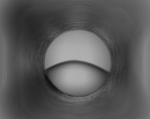 X0000088130031200705141006