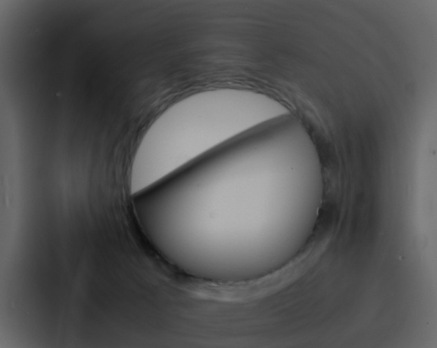 X0000088130033200705141006
