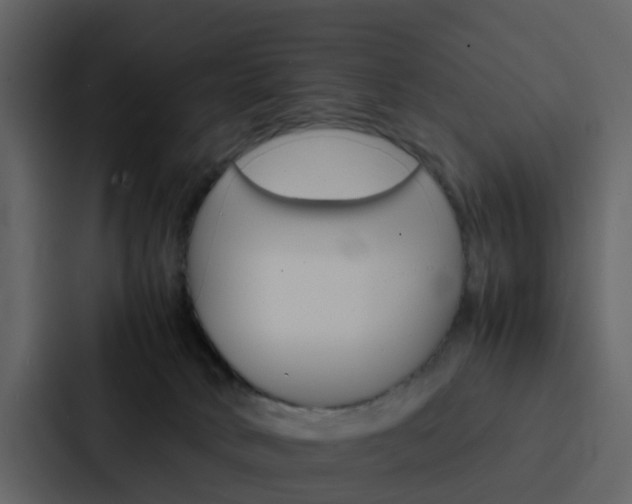 X0000088130034200705141006