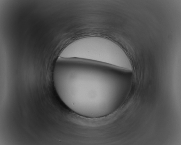 X0000088130035200705141006